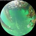 ./images/calvert/underwater/20260707/underwater20260707_104002M.jpg