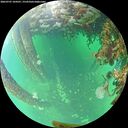 ./images/calvert/underwater/20260707/underwater20260707_104501M.jpg