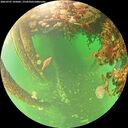 ./images/calvert/underwater/20260707/underwater20260707_105002M.jpg