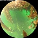 ./images/calvert/underwater/20260707/underwater20260707_110001M.jpg