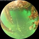 ./images/calvert/underwater/20260707/underwater20260707_110501M.jpg