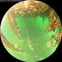 ./images/calvert/underwater/20260707/underwater20260707_111001M.jpg
