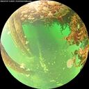 ./images/calvert/underwater/20260707/underwater20260707_112001M.jpg