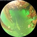 ./images/calvert/underwater/20260707/underwater20260707_113501M.jpg