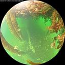 ./images/calvert/underwater/20260707/underwater20260707_114501M.jpg