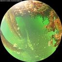 ./images/calvert/underwater/20260707/underwater20260707_115001M.jpg