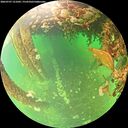 ./images/calvert/underwater/20260707/underwater20260707_121002M.jpg