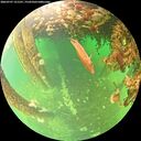 ./images/calvert/underwater/20260707/underwater20260707_121501M.jpg