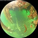 ./images/calvert/underwater/20260707/underwater20260707_122001M.jpg