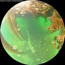 ./images/calvert/underwater/20260707/underwater20260707_123001M.jpg
