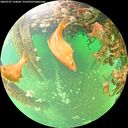 ./images/calvert/underwater/20260707/underwater20260707_124002M.jpg