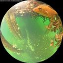 ./images/calvert/underwater/20260707/underwater20260707_124501M.jpg