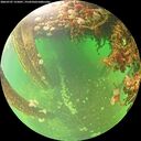 ./images/calvert/underwater/20260707/underwater20260707_125001M.jpg