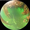 ./images/calvert/underwater/20260707/underwater20260707_131501M.jpg