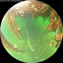 ./images/calvert/underwater/20260707/underwater20260707_132001M.jpg