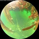 ./images/calvert/underwater/20260707/underwater20260707_140001M.jpg