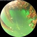 ./images/calvert/underwater/20260707/underwater20260707_142501M.jpg