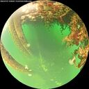 ./images/calvert/underwater/20260707/underwater20260707_144002M.jpg