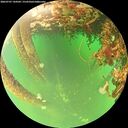 ./images/calvert/underwater/20260707/underwater20260707_144501M.jpg