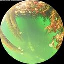 ./images/calvert/underwater/20260707/underwater20260707_145001M.jpg