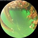 ./images/calvert/underwater/20260707/underwater20260707_145501M.jpg