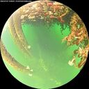 ./images/calvert/underwater/20260707/underwater20260707_150001M.jpg