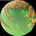 ./images/calvert/underwater/20260707/underwater20260707_150501M.jpg