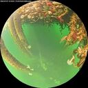 ./images/calvert/underwater/20260707/underwater20260707_151001M.jpg
