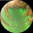 ./images/calvert/underwater/20260707/underwater20260707_151501M.jpg