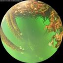 ./images/calvert/underwater/20260707/underwater20260707_152001M.jpg