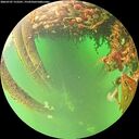 ./images/calvert/underwater/20260707/underwater20260707_152501M.jpg