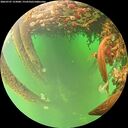 ./images/calvert/underwater/20260707/underwater20260707_153001M.jpg
