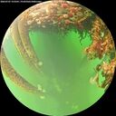 ./images/calvert/underwater/20260707/underwater20260707_153501M.jpg