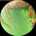 ./images/calvert/underwater/20260707/underwater20260707_154001M.jpg