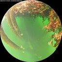 ./images/calvert/underwater/20260707/underwater20260707_154501M.jpg