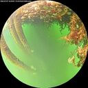 ./images/calvert/underwater/20260707/underwater20260707_162002M.jpg