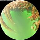 ./images/calvert/underwater/20260707/underwater20260707_162501M.jpg