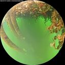 ./images/calvert/underwater/20260707/underwater20260707_163001M.jpg