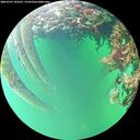 ./images/calvert/underwater/20260707/underwater20260707_182501M.jpg