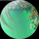 ./images/calvert/underwater/20260707/underwater20260707_191501M.jpg