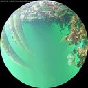 ./images/calvert/underwater/20260707/underwater20260707_192001M.jpg
