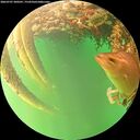 ./images/calvert/underwater/20260707/underwater20260707_200501M.jpg