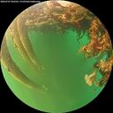 ./images/calvert/underwater/20260707/underwater20260707_205501M.jpg