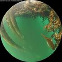 ./images/calvert/underwater/20260707/underwater20260707_211501M.jpg