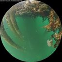 ./images/calvert/underwater/20260707/underwater20260707_212501M.jpg