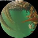 ./images/calvert/underwater/20260707/underwater20260707_213002M.jpg