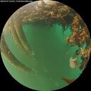 ./images/calvert/underwater/20260707/underwater20260707_213501M.jpg