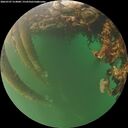 ./images/calvert/underwater/20260707/underwater20260707_214001M.jpg