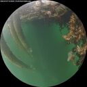 ./images/calvert/underwater/20260707/underwater20260707_215001M.jpg