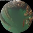 ./images/calvert/underwater/20260707/underwater20260707_215501M.jpg